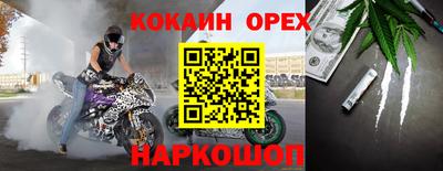крисы Кинель