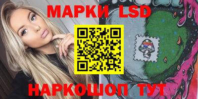 spice Кингисепп