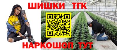 spice Кингисепп
