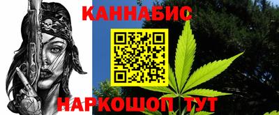 spice Кингисепп