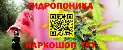 крисы Кинель