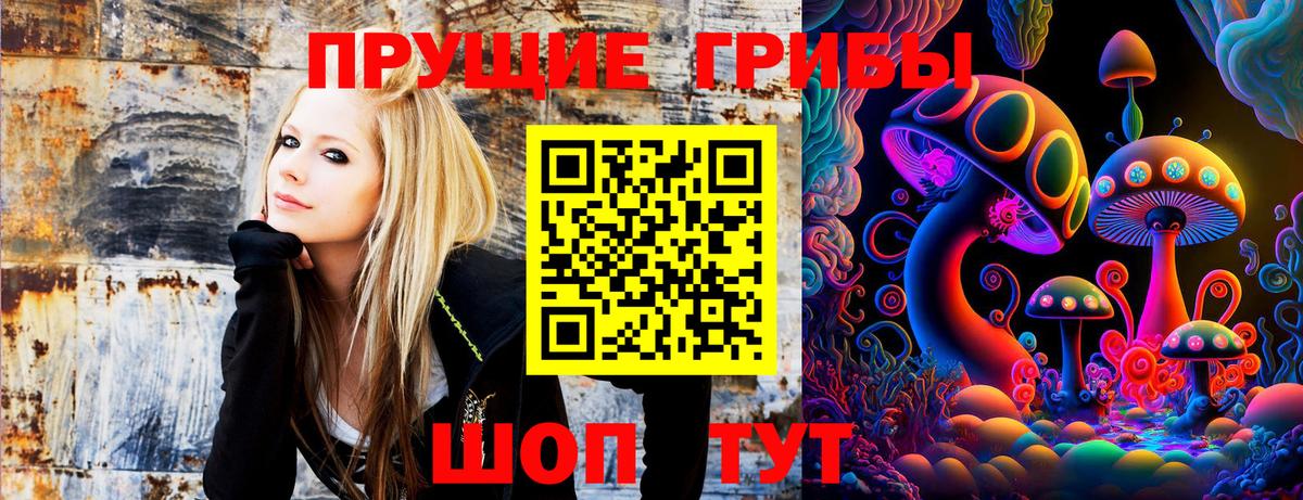 Псилоцибиновые грибы MAGIC MUSHROOMS  Галлюциногенные грибы Magic Shrooms  магазин    Вход с VPN  Канаш 