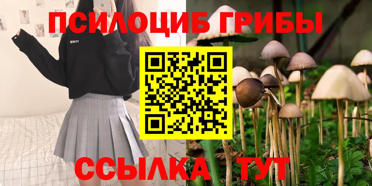 Псилоцибиновые грибы мицелий Канаш
